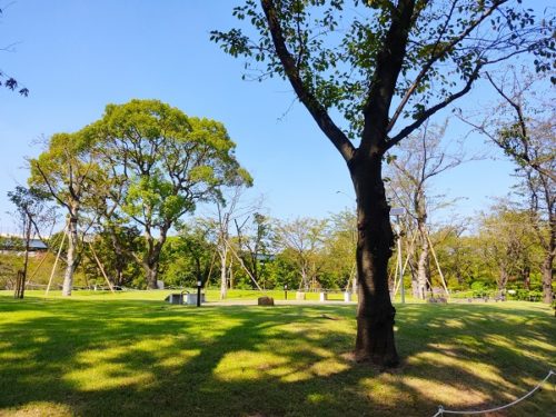 隅田公園